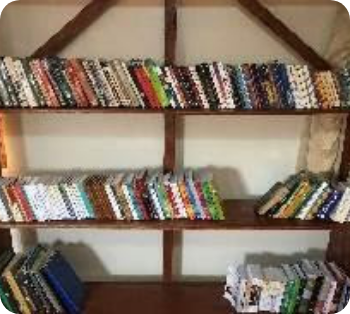 Shelf Filled with Books