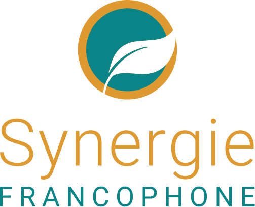 synergie brand logo